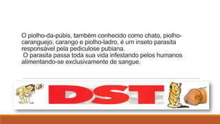 O piolho-da-púbis, também conhecido como chato, piolhocaranguejo, carango e piolho-ladro, é um inseto parasita
responsável pela pediculose pubiana.
O parasita passa toda sua vida infestando pelos humanos
alimentando-se exclusivamente de sangue.

 