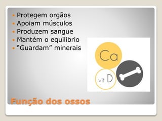 Função dos ossos
 Protegem orgãos
 Apoiam músculos
 Produzem sangue
 Mantém o equilibrio
 “Guardam” minerais
 