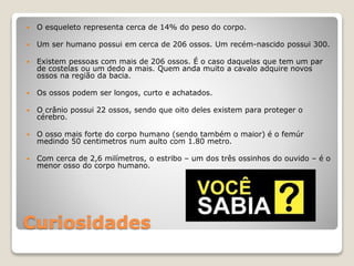 Curiosidades
 O esqueleto representa cerca de 14% do peso do corpo.
 Um ser humano possui em cerca de 206 ossos. Um recém-nascido possui 300.
 Existem pessoas com mais de 206 ossos. É o caso daquelas que tem um par
de costelas ou um dedo a mais. Quem anda muito a cavalo adquire novos
ossos na região da bacia.
 Os ossos podem ser longos, curto e achatados.
 O crânio possui 22 ossos, sendo que oito deles existem para proteger o
cérebro.
 O osso mais forte do corpo humano (sendo também o maior) é o femúr
medindo 50 centimetros num aulto com 1.80 metro.
 Com cerca de 2,6 milímetros, o estribo – um dos três ossinhos do ouvido – é o
menor osso do corpo humano.
 