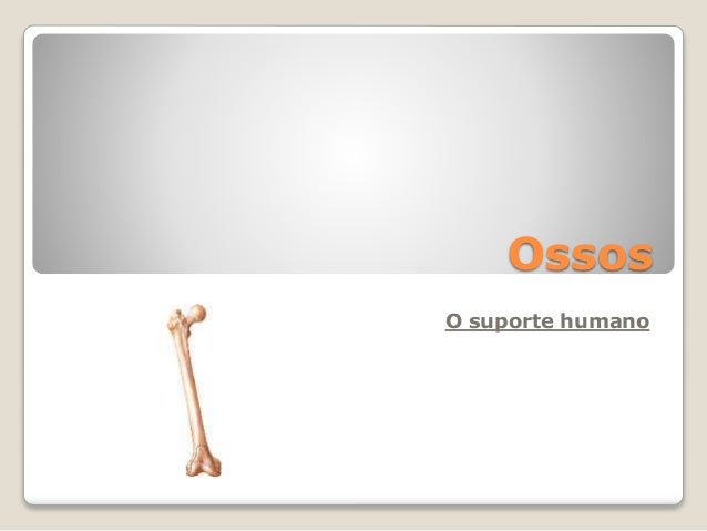 Ossos
O suporte humano
 