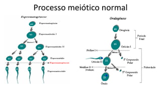 Processo meiótico normal
 