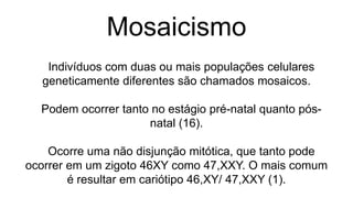 Mosaicismo
   Indivíduos com duas ou mais populações celulares
  geneticamente diferentes são chamados mosaicos.

  Podem ocorrer tanto no estágio pré-natal quanto pós-
                     natal (16).

    Ocorre uma não disjunção mitótica, que tanto pode
ocorrer em um zigoto 46XY como 47,XXY. O mais comum
        é resultar em cariótipo 46,XY/ 47,XXY (1).
 