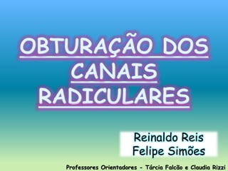 Professores Orientadores - Tárcia Falcão e Claudia Rizzi
Reinaldo Reis
Felipe Simões
 