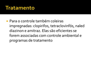 TratamentoPara o controle também coleiras impregnadas: clopirifos, tetraclovinfós, naled diazinon e amitraz. Elas são eficientes se forem associadas com controle ambiental e programas de tratamento