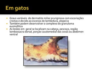Em gatosGraus variáveis  de dermatite miliar pruriginosa com escoriações crostas e devido ao excesso de lambedura, alopeciaTambém podem desenvolver o complexo do granuloma eusinofilico As lesões em  geral se localizam na cabeça, pescoço, região lombossacra dorsal, porção caudomedial das coxas ou abdômen ventral 