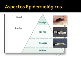 Aspectos Epidemiológicos,[object Object],Fonte: Merial,[object Object]