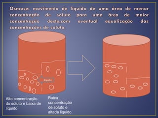 líquido




Alta concentração         Baixa
do soluto e baixa de      concentração
líquido                   de soluto e
                          altade liquido.
 