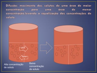 soluto
                s



               líquido
                  s


Alta concentração        Baixa
de soluto                concentração
                         de soluto
 