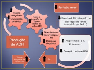Produção
 de ADH
 