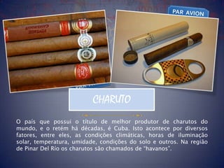 CHARUTO
O país que possui o título de melhor produtor de charutos do
mundo, e o retém há décadas, é Cuba. Isto acontece por diversos
fatores, entre eles, as condições climáticas, horas de iluminação
solar, temperatura, umidade, condições do solo e outros. Na região
de Pinar Del Río os charutos são chamados de “havanos”.
 