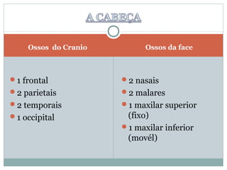 Ossos do Cranio         Ossos da face



1 frontal            2 nasais
2 parietais          2 malares
2 temporais          1 maxilar superior
1 occipital           (fixo)
                      1 maxilar inferior
                       (movél)
 