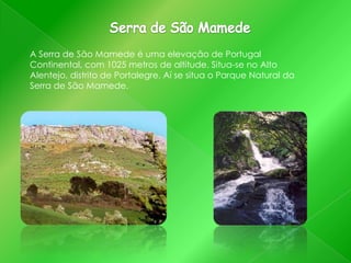A Serra de São Mamede é uma elevação de Portugal
Continental, com 1025 metros de altitude. Situa-se no Alto
Alentejo, distrito de Portalegre. Aí se situa o Parque Natural da
Serra de São Mamede.

 