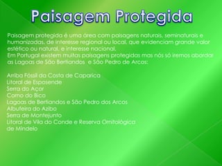 Paisagem protegida é uma área com paisagens naturais, seminaturais e
humanizadas, de interesse regional ou local, que evidenciam grande valor
estético ou natural, e interesse nacional.
Em Portugal existem muitas paisagens protegidas mas nós só iremos abordar
as Lagoas de São Bertiandos e São Pedro de Arcos:
Arriba Fóssil da Costa de Caparica
Litoral de Esposende
Serra do Açor
Corno do Bico
Lagoas de Bertiandos e São Pedro dos Arcos
Albufeira do Azibo
Serra de Montejunto
Litoral de Vila do Conde e Reserva Ornitológica
de Mindelo

 
