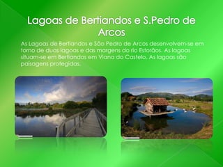 As Lagoas de Bertiandos e São Pedro de Arcos desenvolvem-se em
torno de duas lagoas e das margens do rio Estorãos. As lagoas
situam-se em Bertiandos em Viana do Castelo. As lagoas são
paisagens protegidas.

 
