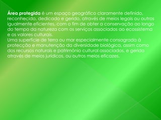 Área protegida é um espaço geográfico claramente definido,
reconhecido, dedicado e gerido, através de meios legais ou outros
igualmente eficientes, com o fim de obter a conservação ao longo
do tempo da natureza com os serviços associados ao ecossistema
e os valores culturais.
Uma superfície de terra ou mar especialmente consagrada à
protecção e manutenção da diversidade biológica, assim como
dos recursos naturais e património cultural associados, e gerida
através de meios jurídicos, ou outros meios eficazes.

 