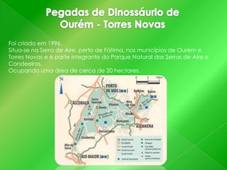 Foi criado em 1996.
Situa-se na Serra de Aire, perto de Fátima, nos municípios de Ourém e
Torres Novas e é parte integrante do Parque Natural das Serras de Aire e
Candeeiros.
Ocupando uma área de cerca de 20 hectares.

 