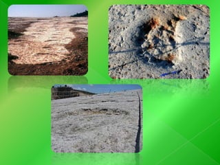 Áreas Protegidas de Portugal