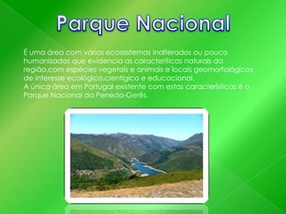 É uma área com vários ecossistemas inalterados ou pouco
humanizados que evidencia as caracteríticas naturais da
região,com espécies vegetais e animais e locais geomorfológicos
de interesse ecológico,cientígico e educacional.
A única área em Portugal existente com estas características é o
Parque Nacional da Peneda-Gerês.

 