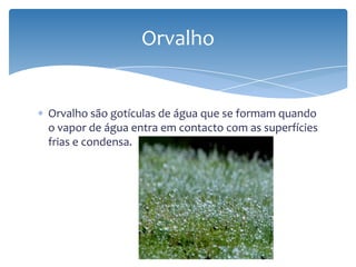 Orvalho são gotículas de água que se formam quando
o vapor de água entra em contacto com as superfícies
frias e condensa.
Orvalho
 