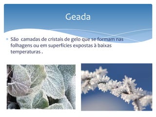 São camadas de cristais de gelo que se formam nas
folhagens ou em superfícies expostas à baixas
temperaturas .
Geada
 