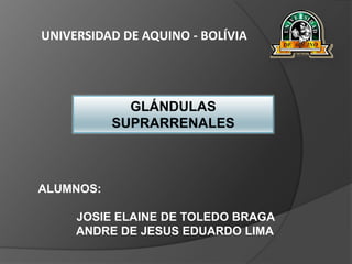 UNIVERSIDAD DE AQUINO - BOLÍVIA
GLÁNDULAS
SUPRARRENALES
ALUMNOS:
JOSIE ELAINE DE TOLEDO BRAGA
ANDRE DE JESUS EDUARDO LIMA
 