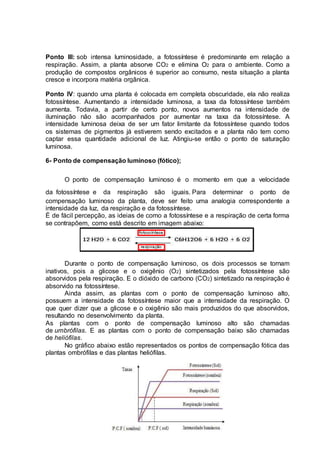 Ponto III: sob intensa luminosidade, a fotossíntese é predominante em relação a
respiração. Assim, a planta absorve CO2 e elimina O2 para o ambiente. Como a
produção de compostos orgânicos é superior ao consumo, nesta situação a planta
cresce e incorpora matéria orgânica.
Ponto IV: quando uma planta é colocada em completa obscuridade, ela não realiza
fotossíntese. Aumentando a intensidade luminosa, a taxa da fotossíntese também
aumenta. Todavia, a partir de certo ponto, novos aumentos na intensidade de
iluminação não são acompanhados por aumentar na taxa da fotossíntese. A
intensidade luminosa deixa de ser um fator limitante da fotossíntese quando todos
os sistemas de pigmentos já estiverem sendo excitados e a planta não tem como
captar essa quantidade adicional de luz. Atingiu-se então o ponto de saturação
luminosa.
6- Ponto de compensação luminoso (fótico);
O ponto de compensação luminoso é o momento em que a velocidade
da fotossíntese e da respiração são iguais. Para determinar o ponto de
compensação luminoso da planta, deve ser feito uma analogia correspondente a
intensidade da luz, da respiração e da fotossíntese.
É de fácil percepção, as ideias de como a fotossíntese e a respiração de certa forma
se contrapõem, como está descrito em imagem abaixo:
Durante o ponto de compensação luminoso, os dois processos se tornam
inativos, pois a glicose e o oxigênio (O2) sintetizados pela fotossíntese são
absorvidos pela respiração. E o dióxido de carbono (CO2) sintetizado na respiração é
absorvido na fotossíntese.
Ainda assim, as plantas com o ponto de compensação luminoso alto,
possuem a intensidade da fotossíntese maior que a intensidade da respiração. O
que quer dizer que a glicose e o oxigênio são mais produzidos do que absorvidos,
resultando no desenvolvimento da planta.
As plantas com o ponto de compensação luminoso alto são chamadas
de umbrófilas. E as plantas com o ponto de compensação baixo são chamadas
de heliófilas.
No gráfico abaixo estão representados os pontos de compensação fótica das
plantas ombrófilas e das plantas heliófilas.
Ação dos herbicidas na Fotossíntese
 