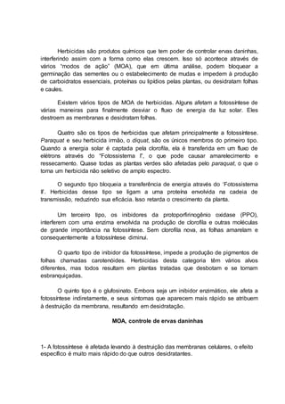 Herbicidas são produtos químicos que tem poder de controlar ervas daninhas,
interferindo assim com a forma como elas crescem. Isso só acontece através de
vários “modos de ação” (MOA), que em última análise, podem bloquear a
germinação das sementes ou o estabelecimento de mudas e impedem à produção
de carboidratos essenciais, proteínas ou lipídios pelas plantas, ou desidratam folhas
e caules.
Existem vários tipos de MOA de herbicidas. Alguns afetam a fotossíntese de
várias maneiras para finalmente desviar o fluxo de energia da luz solar. Eles
destroem as membranas e desidratam folhas.
Quatro são os tipos de herbicidas que afetam principalmente a fotossíntese.
Paraquat e seu herbicida irmão, o diquat, são os únicos membros do primeiro tipo.
Quando a energia solar é captada pela clorofila, ela é transferida em um fluxo de
elétrons através do “Fotossistema I”, o que pode causar amarelecimento e
ressecamento. Quase todas as plantas verdes são afetadas pelo paraquat, o que o
torna um herbicida não seletivo de amplo espectro.
O segundo tipo bloqueia a transferência de energia através do ‘Fotossistema
II’. Herbicidas desse tipo se ligam a uma proteína envolvida na cadeia de
transmissão, reduzindo sua eficácia. Isso retarda o crescimento da planta.
Um terceiro tipo, os inibidores da protoporfirinogênio oxidase (PPO),
interferem com uma enzima envolvida na produção de clorofila e outras moléculas
de grande importância na fotossíntese. Sem clorofila nova, as folhas amarelam e
consequentemente a fotossíntese diminui.
O quarto tipo de inibidor da fotossíntese, impede a produção de pigmentos de
folhas chamadas carotenóides. Herbicidas desta categoria têm vários alvos
diferentes, mas todos resultam em plantas tratadas que desbotam e se tornam
esbranquiçadas.
O quinto tipo é o glufosinato. Embora seja um inibidor enzimático, ele afeta a
fotossíntese indiretamente, e seus sintomas que aparecem mais rápido se atribuem
à destruição da membrana, resultando em desidratação.
MOA, controle de ervas daninhas
1- A fotossíntese é afetada levando à destruição das membranas celulares, o efeito
específico é muito mais rápido do que outros desidratantes.
 