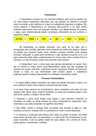 Fotossíntese
A fotossíntese consiste em um processo biológico pelo qual as plantas que
em suas células transportam pigmentos que são capazes de absorver a energia
solar e converter o gás carbônico e a água em substâncias orgânicas e oxigênio. Em
outras palavras a fotossíntese é um processo físico-químico e de nível celular,
realizado pelos seres vivos que possuem clorofila e que utilizam dióxido de carbono
e água, para obterem glicose através da energia proveniente do sol, conforme o
esquema a seguir:
Na fotossíntese, as plantas absorvem uma parte da luz solar, que é
armazenada pela clorofila (pigmento verde presente nas folhas das plantas). Mesmo
as plantas que possuem outras cores, também possuem clorofila. Essa energia
luminosa "estocada" é usada para transformar o gás carbônico presente no ar e na
água absorvida pelas raízes, posteriormente em seiva bruta, onde o produto final é a
sacarose, um tipo de açúcar usado como alimento pelas plantas.
A fotossíntese inicia a maior parte das cadeias alimentares do mundo. Sem
ela, os animais e muitos outros seres heterotróficos (seres que são incapazes de
produzir seu próprio alimento), certamente seriam incapazes também de sobreviver
porque a base da sua alimentação está sempre ligada à substâncias
orgânicas proporcionadas pelas plantas de coloração característica verde.
Processo Fotossintético:
1- A região pilífera (pelos) existentes nas raízes das plantas absorvem a água e os
sais minerais do solo. Esse material é chamado de seiva bruta.
2- A seiva bruta percorre os microscópicos vasos condutores que saem da raiz,
seguem pelo xilema (vaso condutor localizado no caule que transporta água e sais
para toda a planta) e chegam até as folhas.
3- Enquanto a seiva bruta realiza esse trajeto, o gás carbônico existente na
atmosfera se infiltra na planta através de poros microscópicos conhecidos como
estômatos e que estão presentes na superfície das folhas.
4- Nas folhas, devido à energia solar acumulada pela clorofila, a água e o gás
carbônico provocam reações entre si, produzindo-se assim a seiva elaborada.
5- A sacarose é conduzida pelo floema para todas as partes da planta. Ela utiliza
parte desse alimento para se desenvolver e a outra parte fica armazenada na raiz,
caule, sementes e até na parede celular de suas células, sob a forma de amido,
ácidos graxos, aminoácidos e celulose.
Luz solar 12H2O 6CO2 6O2 6H2O C6H12O6
@%
 