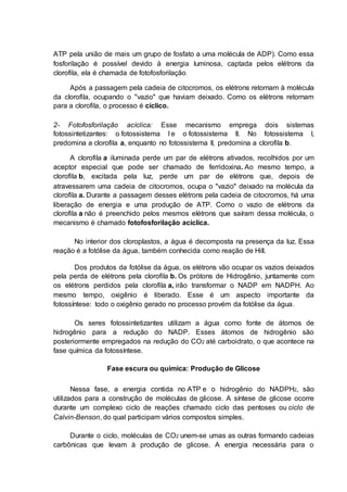 ATP pela união de mais um grupo de fosfato a uma molécula de ADP). Como essa
fosforilação é possível devido à energia luminosa, captada pelos elétrons da
clorofila, ela é chamada de fotofosforilação.
Após a passagem pela cadeia de citocromos, os elétrons retornam à molécula
da clorofila, ocupando o "vazio" que haviam deixado. Como os elétrons retornam
para a clorofila, o processo é cíclico.
2- Fotofosforilação acíclica: Esse mecanismo emprega dois sistemas
fotossintetizantes: o fotossistema I e o fotossistema II. No fotossistema I,
predomina a clorofila a, enquanto no fotossistema II, predomina a clorofila b.
A clorofila a iluminada perde um par de elétrons ativados, recolhidos por um
aceptor especial que pode ser chamado de ferridoxina. Ao mesmo tempo, a
clorofila b, excitada pela luz, perde um par de elétrons que, depois de
atravessarem uma cadeia de citocromos, ocupa o "vazio" deixado na molécula da
clorofila a. Durante a passagem desses elétrons pela cadeia de citocromos, há uma
liberação de energia e uma produção de ATP. Como o vazio de elétrons da
clorofila a não é preenchido pelos mesmos elétrons que saíram dessa molécula, o
mecanismo é chamado fotofosforilação acíclica.
No interior dos cloroplastos, a água é decomposta na presença da luz. Essa
reação é a fotólise da água, também conhecida como reação de Hill.
Dos produtos da fotólise da água, os elétrons vão ocupar os vazios deixados
pela perda de elétrons pela clorofila b. Os prótons de Hidrogênio, juntamente com
os elétrons perdidos pela clorofila a, irão transformar o NADP em NADPH. Ao
mesmo tempo, oxigênio é liberado. Esse é um aspecto importante da
fotossíntese: todo o oxigênio gerado no processo provém da fotólise da água.
Os seres fotossintetizantes utilizam a água como fonte de átomos de
hidrogênio para a redução do NADP. Esses átomos de hidrogênio são
posteriormente empregados na redução do CO2 até carboidrato, o que acontece na
fase química da fotossíntese.
Fase escura ou química: Produção de Glicose
Nessa fase, a energia contida no ATP e o hidrogênio do NADPH2, são
utilizados para a construção de moléculas de glicose. A síntese de glicose ocorre
durante um complexo ciclo de reações chamado ciclo das pentoses ou ciclo de
Calvin-Benson, do qual participam vários compostos simples.
Durante o ciclo, moléculas de CO2 unem-se umas as outras formando cadeias
carbônicas que levam à produção de glicose. A energia necessária para o
 