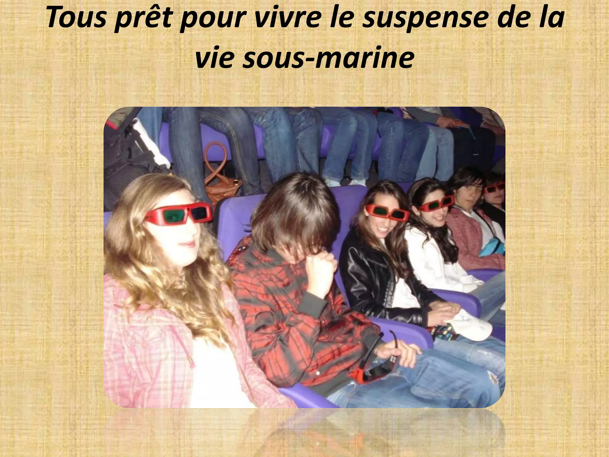 Tous prêt pour vivre le suspense de la vie sous-marine