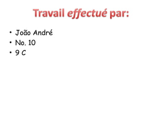 João André  No. 10 9 C 