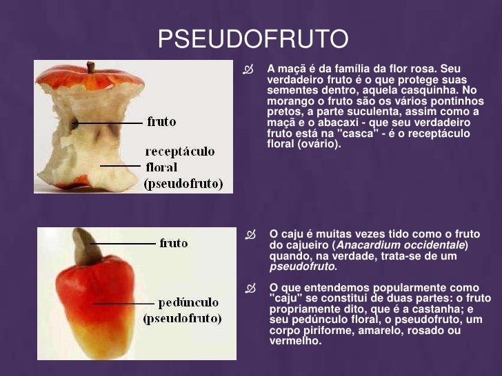 Os Frutos São Importantes Estruturas Relacionadas Com A Dispersão