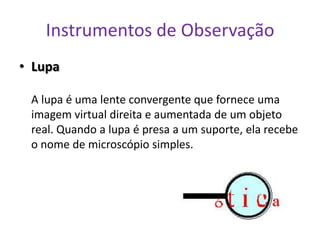 Instrumentos de Observação
• Lupa

 A lupa é uma lente convergente que fornece uma
 imagem virtual direita e aumentada de um objeto
 real. Quando a lupa é presa a um suporte, ela recebe
 o nome de microscópio simples.
 