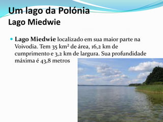 Um lago da Polónia
Lago Miedwie
 Lago Miedwie localizado em sua maior parte na
Voivodia. Tem 35 km² de área, 16,2 km de
cumprimento e 3,2 km de largura. Sua profundidade
máxima é 43,8 metros

 