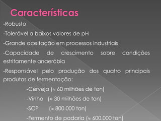 -Robusto
-Tolerável a baixos valores de pH
-Grande aceitação em processos industriais
-Capacidade       de   crescimento    sobre   condições
estritamente anaeróbia
-Responsável pelo produção dos quatro principais
produtos de fermentação:
           -Cerveja ( 60 milhões de ton)
           -Vinho ( 30 milhões de ton)
           -SCP    ( 800.000 ton)
           -Fermento de padaria ( 600.000 ton)
 