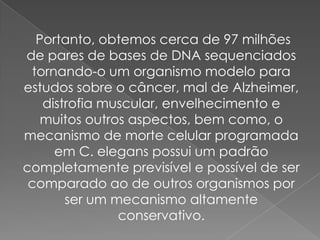 Portanto, obtemos cerca de 97 milhões
de pares de bases de DNA sequenciados
  tornando-o um organismo modelo para
estudos sobre o câncer, mal de Alzheimer,
    distrofia muscular, envelhecimento e
    muitos outros aspectos, bem como, o
mecanismo de morte celular programada
      em C. elegans possui um padrão
completamente previsível e possível de ser
 comparado ao de outros organismos por
        ser um mecanismo altamente
                conservativo.
 