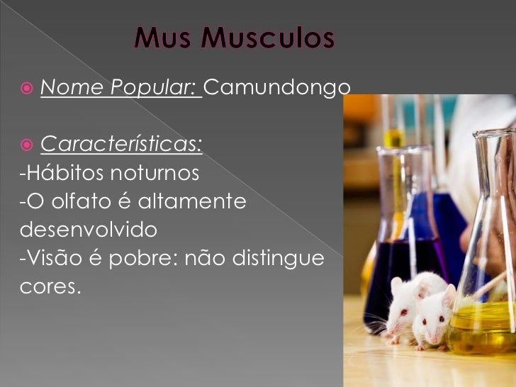 Trabalho de genetica Trabalho de genetica