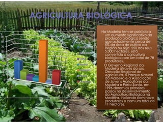 Na Madeira tem-se assistido a
 um aumento significativo da
 produção biológica sendo
 que actualmente cerca de
 5% da área de cultivo da
 Região ou seja, 250 dos seus
 5.000 hectares, está
 convertida à agricultura
 biológica com um total de 78
 produtores.
 O Governo Regional da
 Madeira através da sua
 Direcção Regional de
 Agricultura, o Parque Natural
 da Madeira e a Associação
 de Jovens Agricultores da
 Madeira e Porto Santo, em
 1996 deram os primeiros
 passos no desenvolvimento
 da Agricultura Biológica na
 Madeira, iniciando com nove
 produtores e com um total de
 11 hectares.


  Geografia A   20-11-2012       15
 