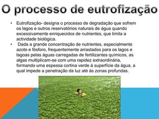 • Eutrofização- designa o processo de degradação que sofrem
os lagos e outros reservatórios naturais de água quando
excessivamente enriquecidos de nutrientes, que limita a
actividade biológica.
• Dada a grande concentração de nutrientes, especialmente
azoto e fósforo, frequentemente arrastados para os lagos e
lagoas pelas águas carregadas de fertilizantes químicos, as
algas multiplicam-se com uma rapidez extraordinária,
formando uma espessa cortina verde à superfície da água, a
qual impede a penetração da luz até às zonas profundas.
 