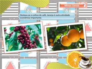 Minas Gerais 
Destaca-se o cultivo de café, laranja é outra atividade 
econômica importante. 
 