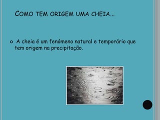 COMO TEM ORIGEM UMA CHEIA……
 A cheia é um fenómeno natural e temporário que
tem origem na precipitação.
 
