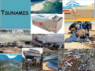 TSUNAMIS
 