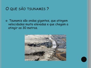 O QUE SÃO TSUNAMIS ?
 Tsunamis são ondas gigantes, que atingem
velocidades muito elevadas e que chegam a
atingir os 30 metros.
 