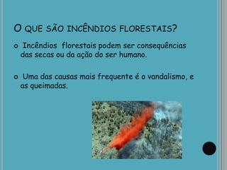 O QUE SÃO INCÊNDIOS FLORESTAIS?
 Incêndios florestais podem ser consequências
das secas ou da ação do ser humano.
 Uma das causas mais frequente é o vandalismo, e
as queimadas.
 