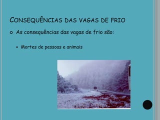CONSEQUÊNCIAS DAS VAGAS DE FRIO
 As consequências das vagas de frio são:
 Mortes de pessoas e animais
 