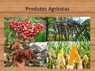 Produtos Agrícolas
 