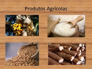 Produtos Agrícolas
 