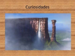 Curiosidades
 