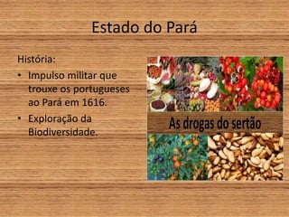 Estado do Pará
História:
• Impulso militar que
trouxe os portugueses
ao Pará em 1616.
• Exploração da
Biodiversidade.
 