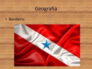 Geografia
• Bandeira:
 